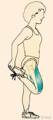 十个小动作帮助你锻炼,腿弯处的筋怎样锻炼才能拉长