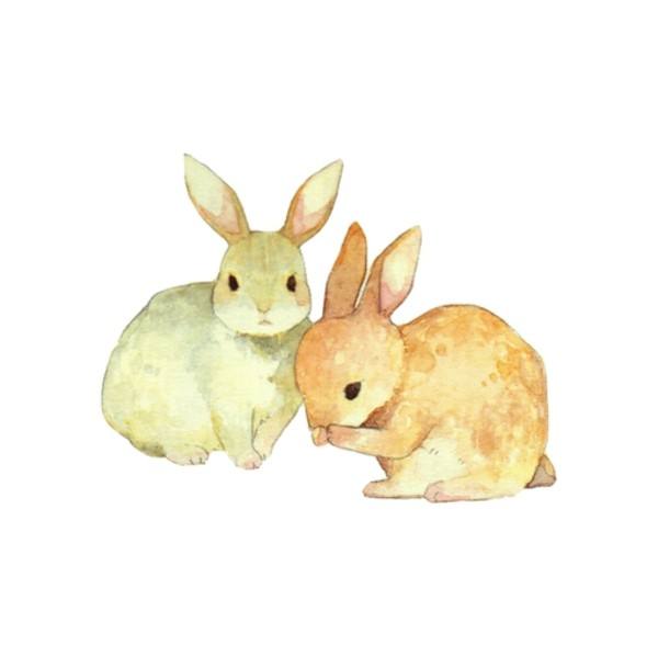 2023年属兔五行属水与什么相生,属兔的人跟谁合财最好