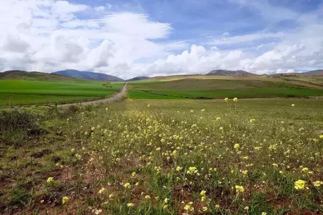 这才是旅行的样子,从亚洲至南美洲,他比我们多了点勇气和决心