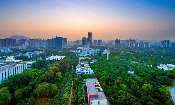 深圳租房各区价格表一览,深圳租房租金最新消息