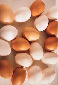 孕期知识大全及注意事项书,孕期检查项目时间表注意事项