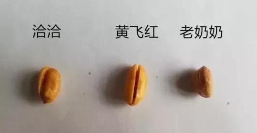 正经的测评,洽洽花生评测