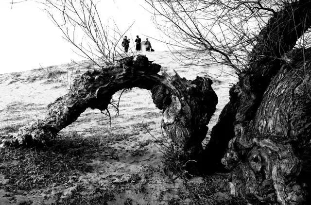 内蒙古通辽市奈曼旗沙漠旅游景点,内蒙古通辽沙漠旅游景点