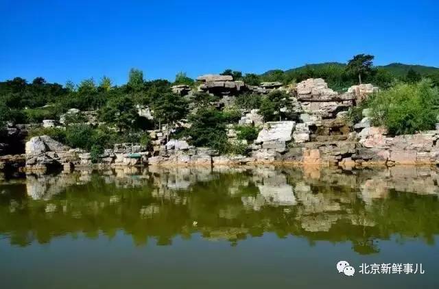 北京植物园踏青赏花,踏青赏花北京