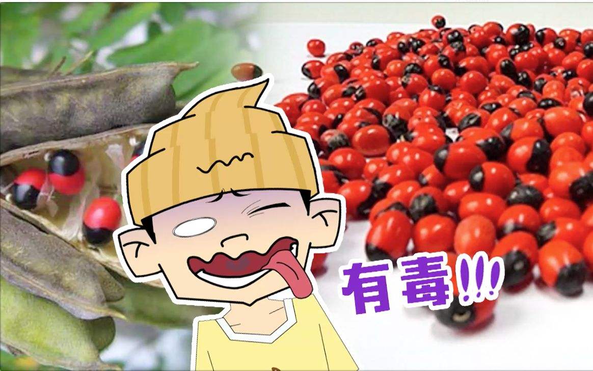 面瘫饮食药膳,面瘫的最佳食疗方法