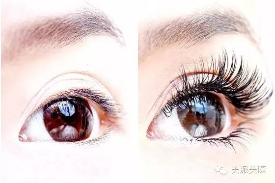 嫁接睫毛粗度与弧度怎么区分,嫁接睫毛的尺寸有多长最好