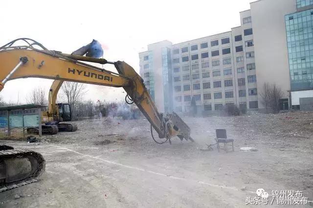 锦城最新消息,锦城消息