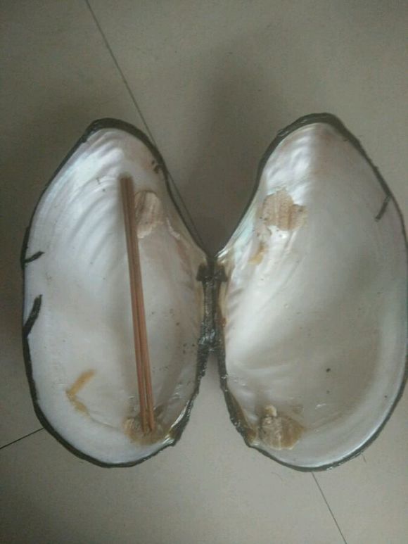 钓鱼又空军了,钓鱼钓了一天又空军了