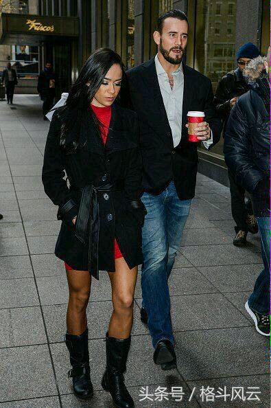 wwehhh夫妇vs隆达罗西,wwe2015年cm朋克