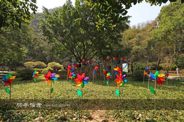 居于涟岸隐于湖，到肇庆体验离尘不离城的精致慢生活