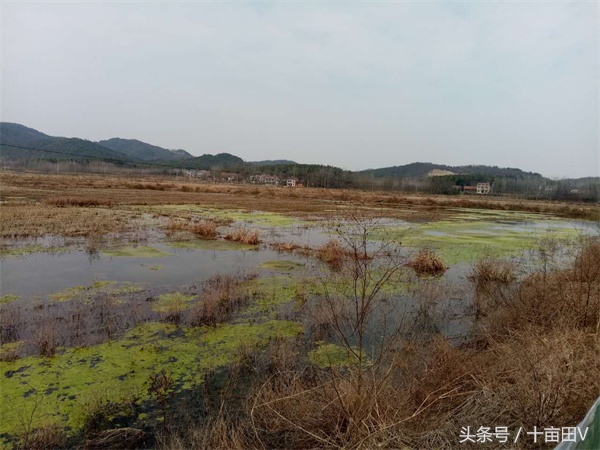 实用捕鱼小妙招,学会如何进行捕鱼