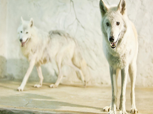 大连旅游线路推荐一日游,大连旅游攻略必去十大景点推荐