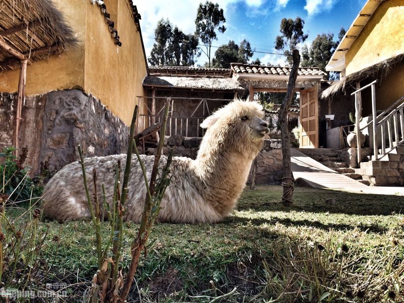 情人劫指南,情人劫去什么景点好呢