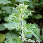 颌关节疼痛怎么办,怎么摆脱躯体痛楚