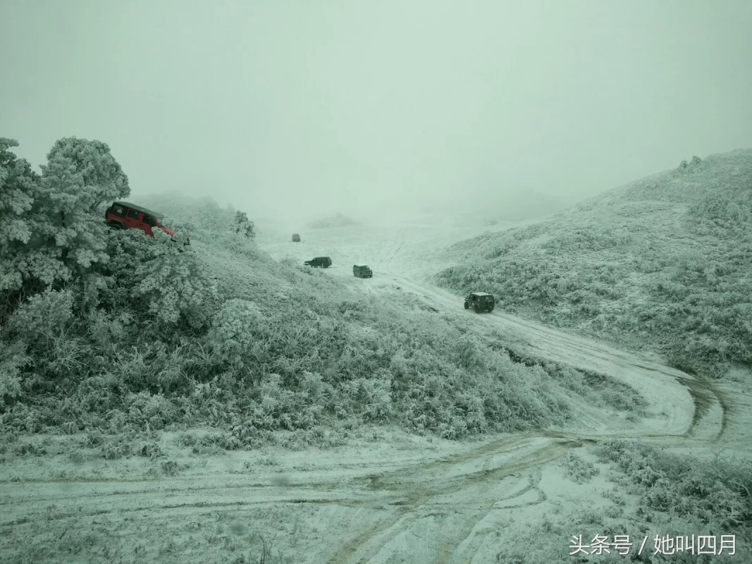 喜欢越野的女孩,越野的女生