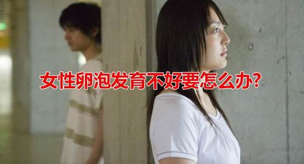 月经周期正常为何卵泡发育迟缓,备孕吃什么有利于促进卵泡发育