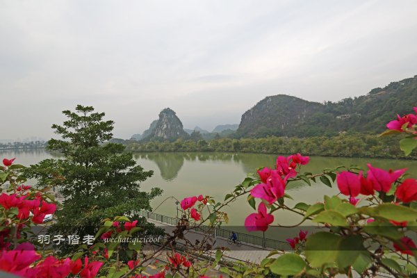 居于涟岸隐于湖,到肇庆体验离尘不离城的精致慢生活