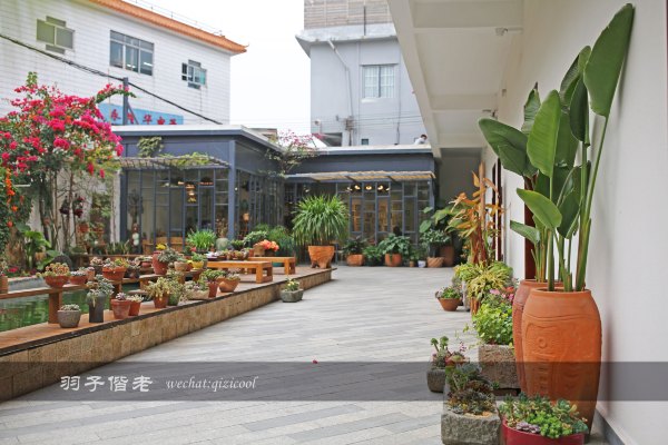 居于涟岸隐于湖，到肇庆体验离尘不离城的精致慢生活