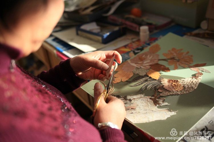 白狐千年等待只为今生相遇,白狼一生只爱一人