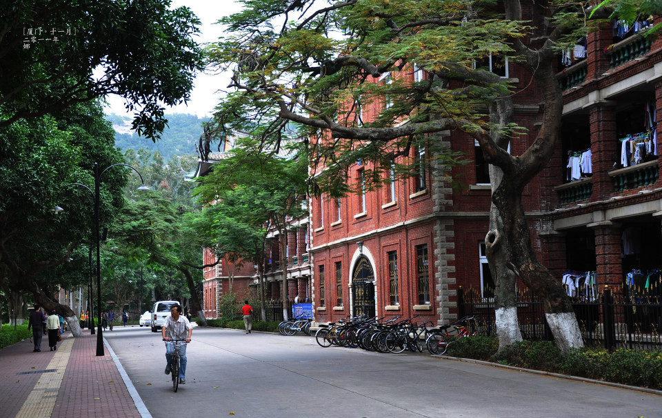 十大最好的法学院,排名前十的大学法学院