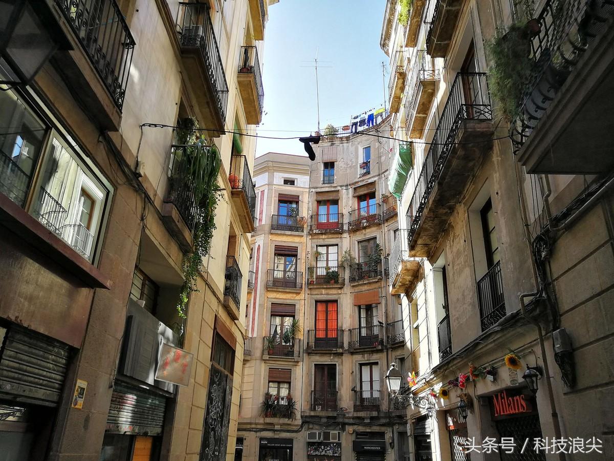 p10拍照评测,p10plus拍照