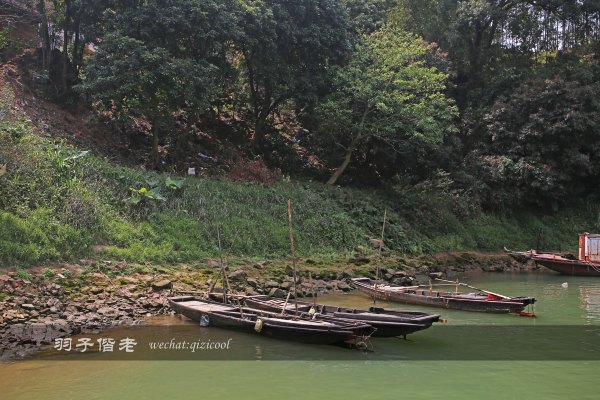 居于涟岸隐于湖,到肇庆体验离尘不离城的精致慢生活