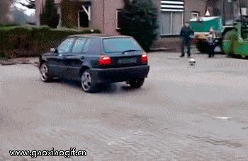 结婚把新郎官给整了,新郎被整太过头的视频