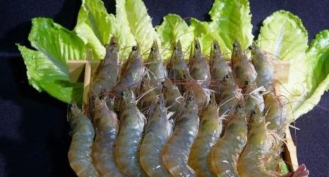 湿疹影响宝宝发育迟缓,肠道湿疹会引起皮肤湿疹吗