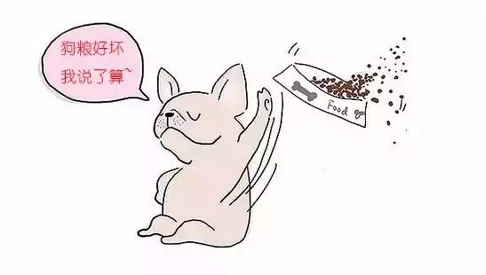 劣质狗粮会导致狗狗发臭吗,便宜的狗粮有什么危害