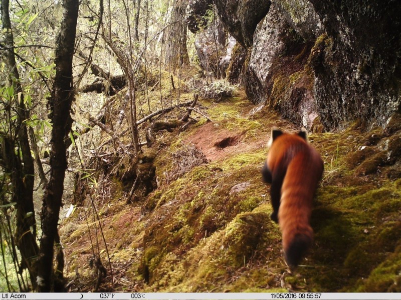 森林之眼好玩吗,森林之眼在景区哪个位置