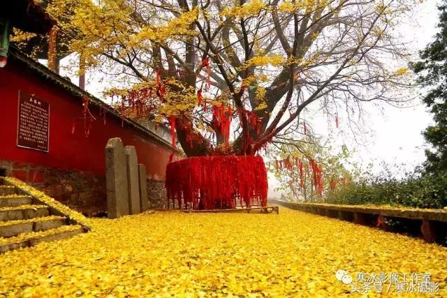 厉害了河南,厉害了我的林州