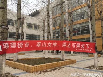 3月8日女生节快乐,3月7号女生节活动