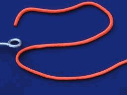 钓鱼新手必学的一个线结绑法教程,绑鱼线钓鱼