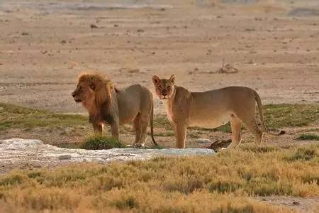 怎么拍出来照片和油画一样,拍照拍出油画质感