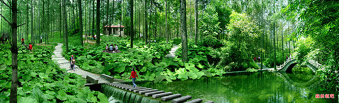 洛阳超值景区 (洛阳可以秒杀韩国景点吗)