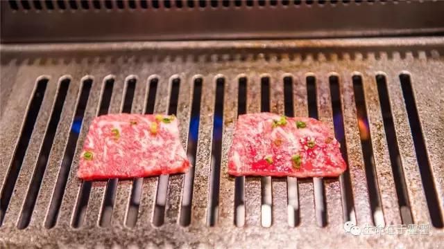 拉面 · 自动贩售机 · 雪｜云之彼岸的日本欢脱之旅