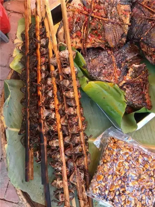 旅游攻略西双版纳美食小吃,西双版纳旅游攻略小吃