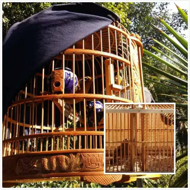 普洱春节一日游最佳攻略,春节来禅域小镇欢乐过大年