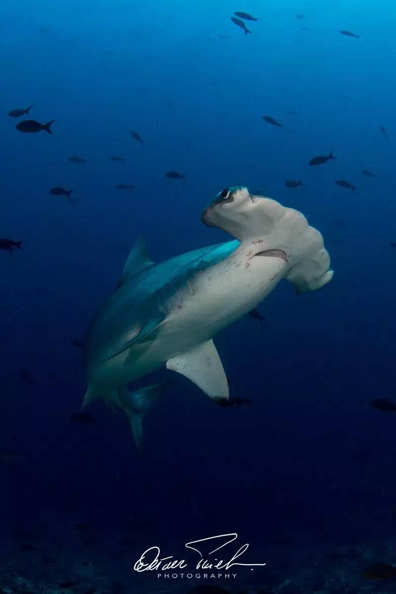 自由摄影师怎么挣钱,摄影师这行真的不挣钱吗