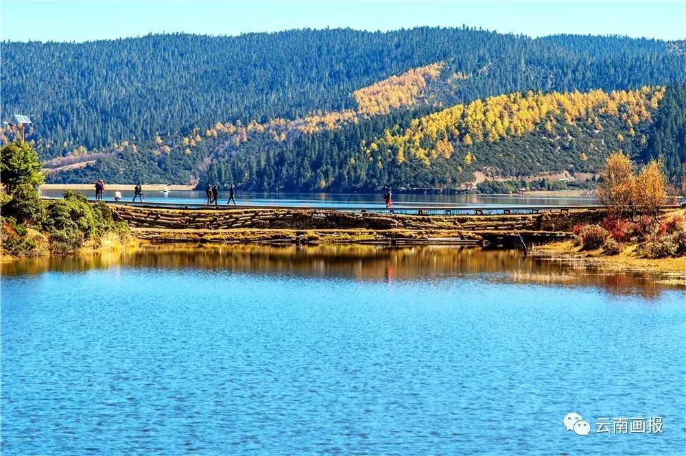 云南省什么地方风景区最好,云南生态环境最好的地方