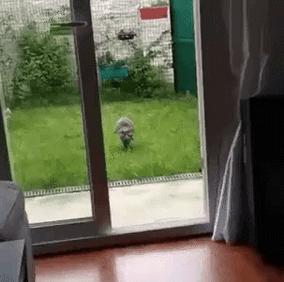 家里穷是种什么样的体验 (我们还很穷能买什么车)