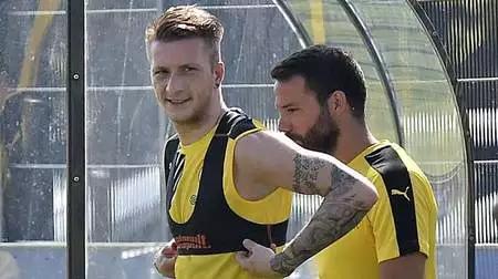 欧洲专业足球草皮,欧洲各个俱乐部的足球场变化