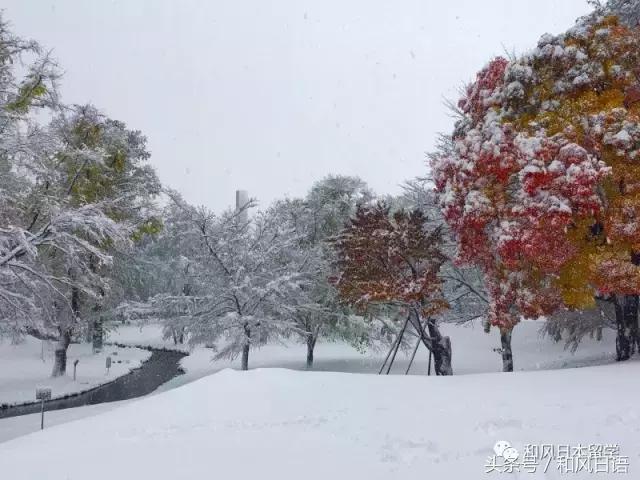 颜值与实力兼备高校,北大为何这么强大