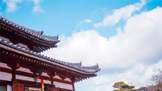 拉面 · 自动贩售机 · 雪｜云之彼岸的日本欢脱之旅