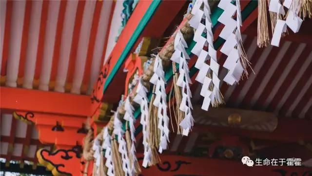 拉面 · 自动贩售机 · 雪｜云之彼岸的日本欢脱之旅