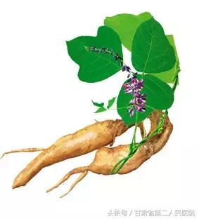 岭南名医咳嗽验方,虚劳咳嗽药膳方剂