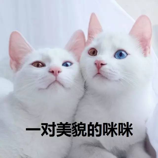 得了小叶增生有哪些是不能吃,得了小叶增生怎么按摩