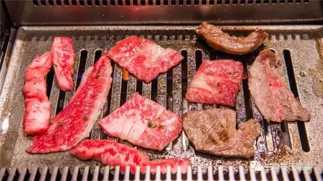 拉面 · 自动贩售机 · 雪｜云之彼岸的日本欢脱之旅