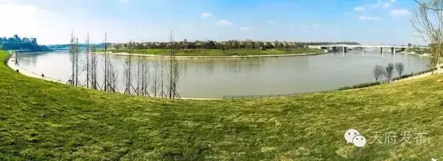 “问遍”成都“面试”媒体，没想到你是这样的中海