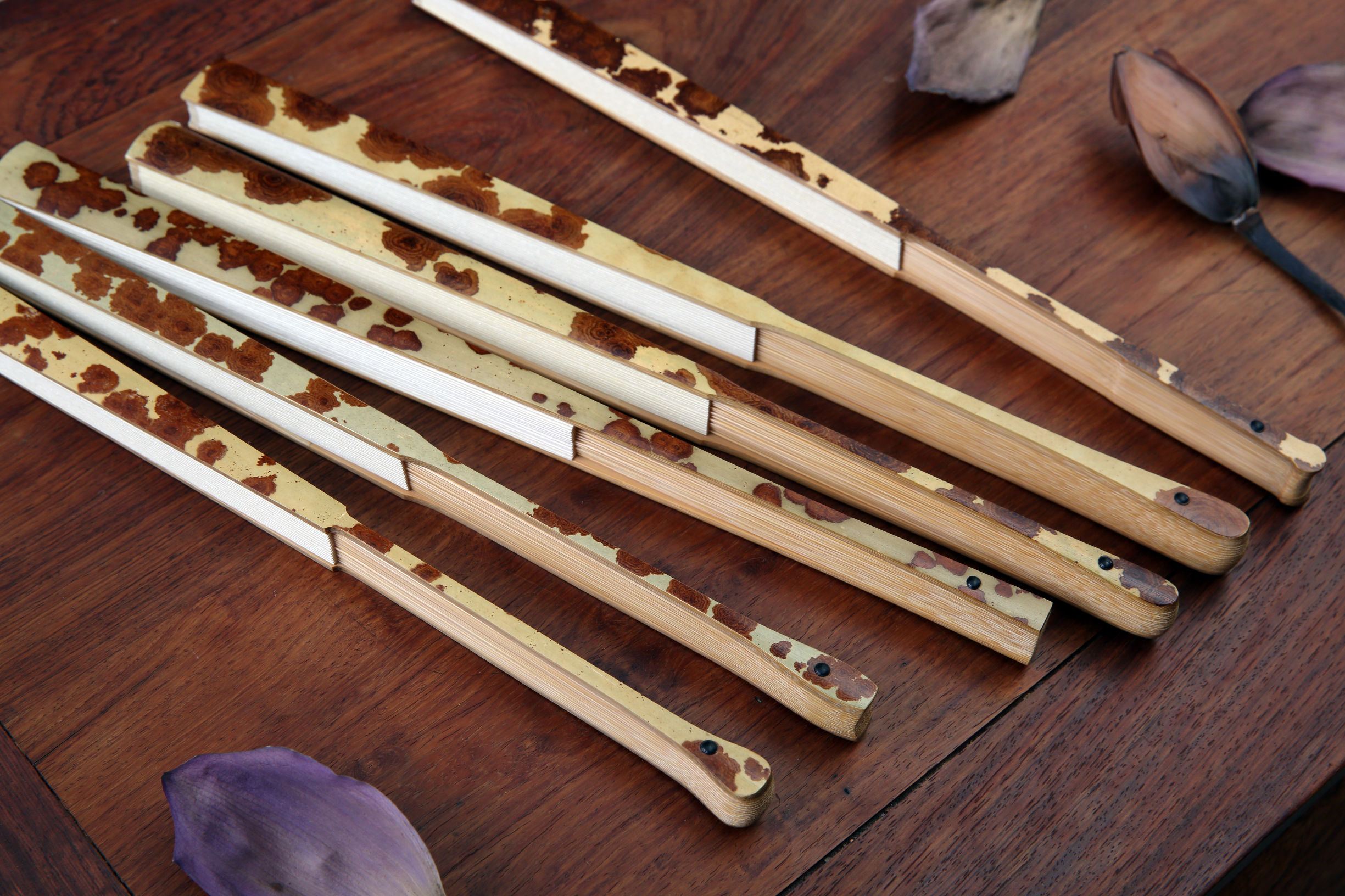 智库沙龙｜简述制扇名材——湘妃竹